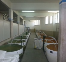 Food manufacturing plant
